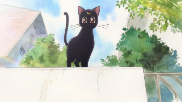 ストーリー - 美少女戦士セーラームーン Crystal - 作品ラインナップ