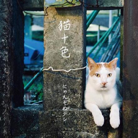 ULTRA SHIBUYA】猫十色(CD): CDCDレコードTシャツ 音楽ショップ