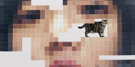 あいみょん『猫にジェラシー』