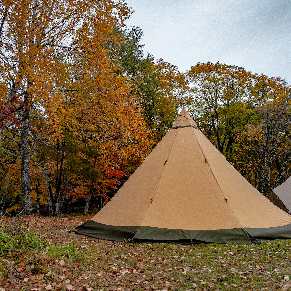 テンティピ サファイアCP – LOG