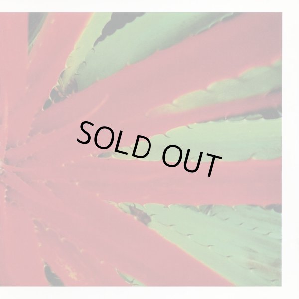 2LP]Jejune – This Afternoons Malady - LIKE A FOOL RECORDS