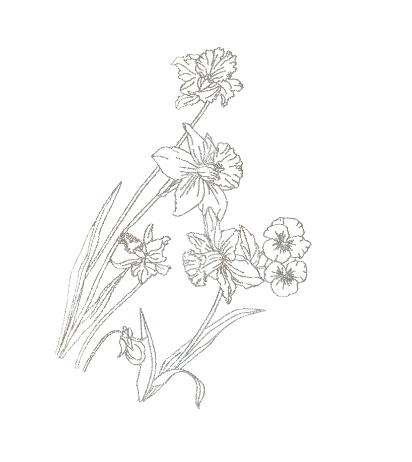 Blooming Early Spring 12月から着られる、春を先取りするフラワー