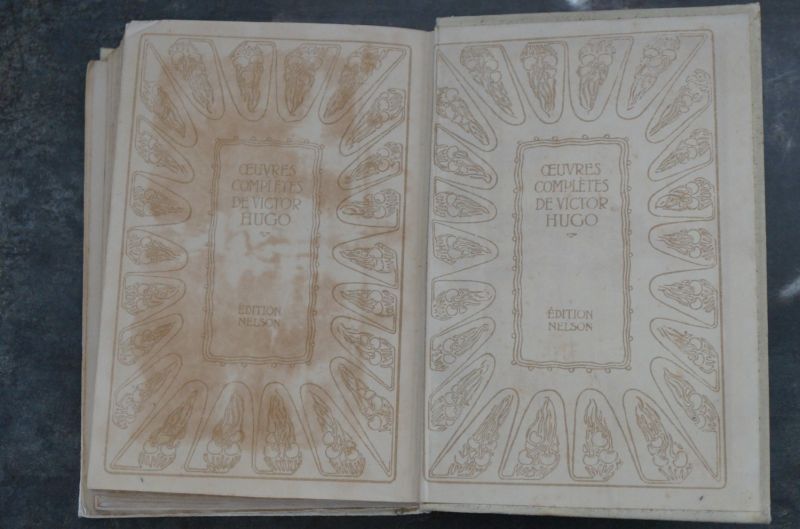 ビンテージ洋書 ネルソン社 フランス小説 1930年代 2冊セット