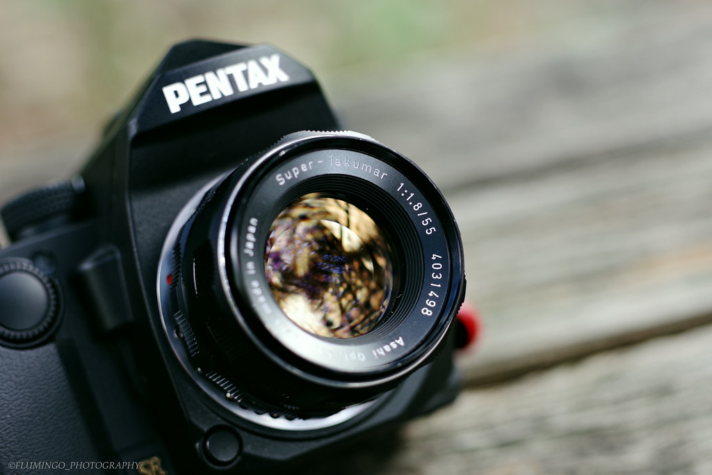 Super Takumar 55mm F1.8 - flum