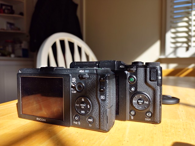 Vintage Digital, AKA A Semi Rational Odd Duck: The Ricoh GXR +