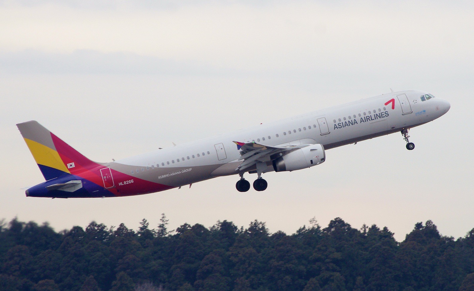 航空機・ヘリコプター Asiana aviationtag A321-100 0359 航空機