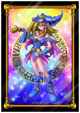 予約情報 デュエリストカードケース&プロテクターセット ブラック