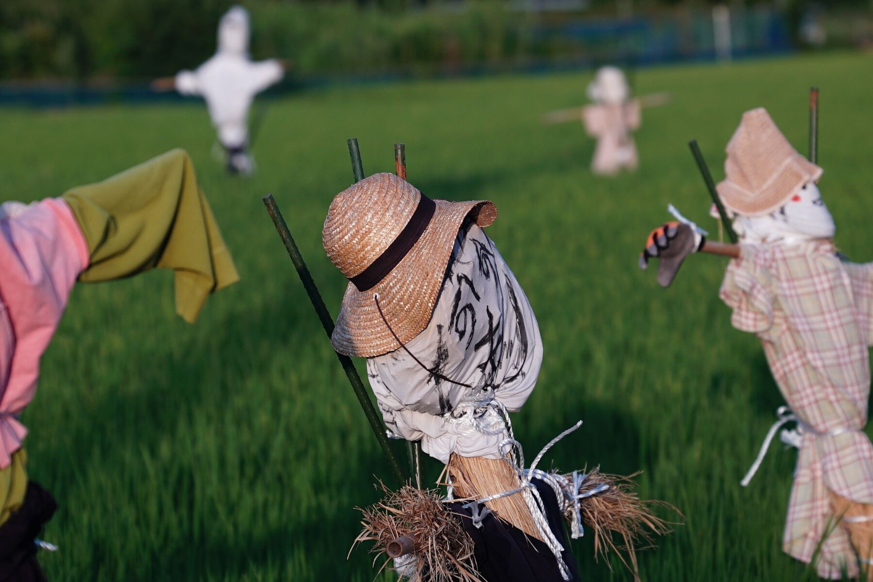 Askar FMA135による田奈の案山子たち【追々記】2025/08/22 : 中川光学