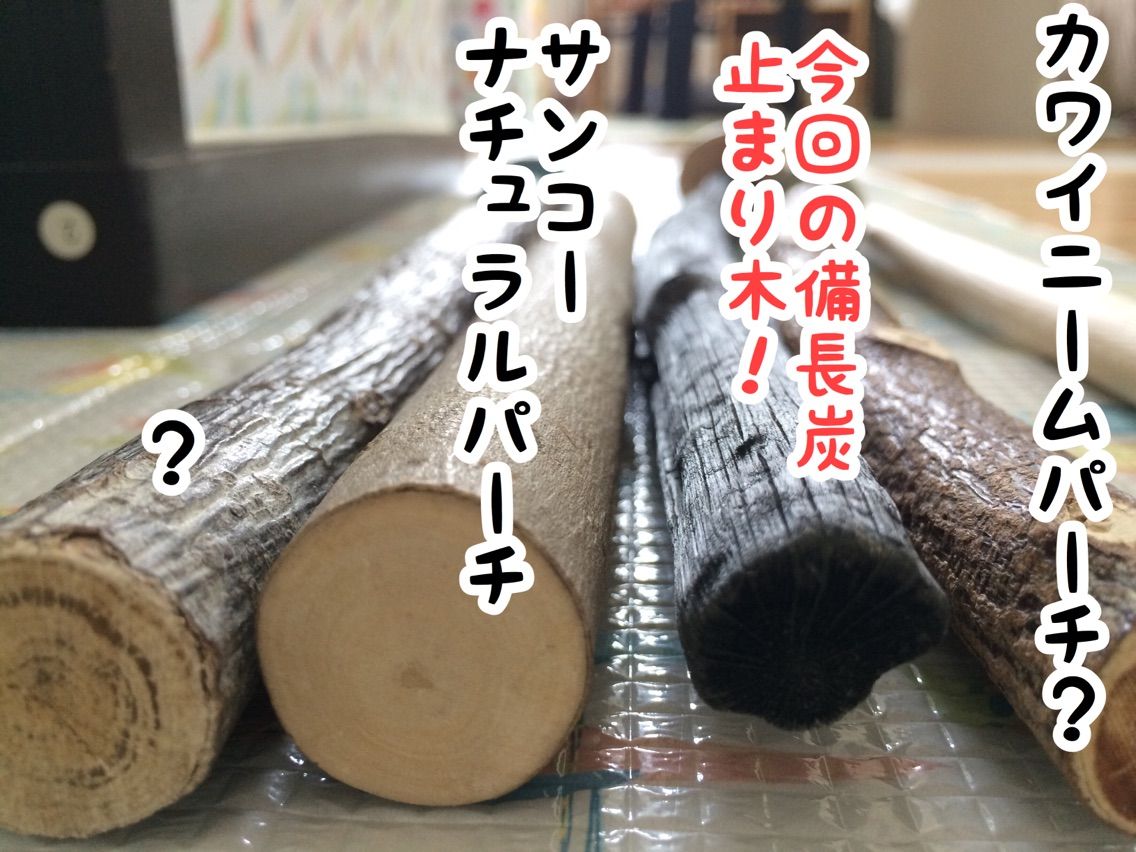 ユニの初体験『備長炭止まり木』 : NEW!ユニブログ