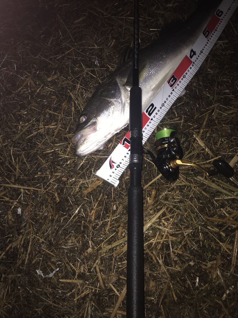 FCLLABO【UC88】 : 特攻隊長さんの釣行記