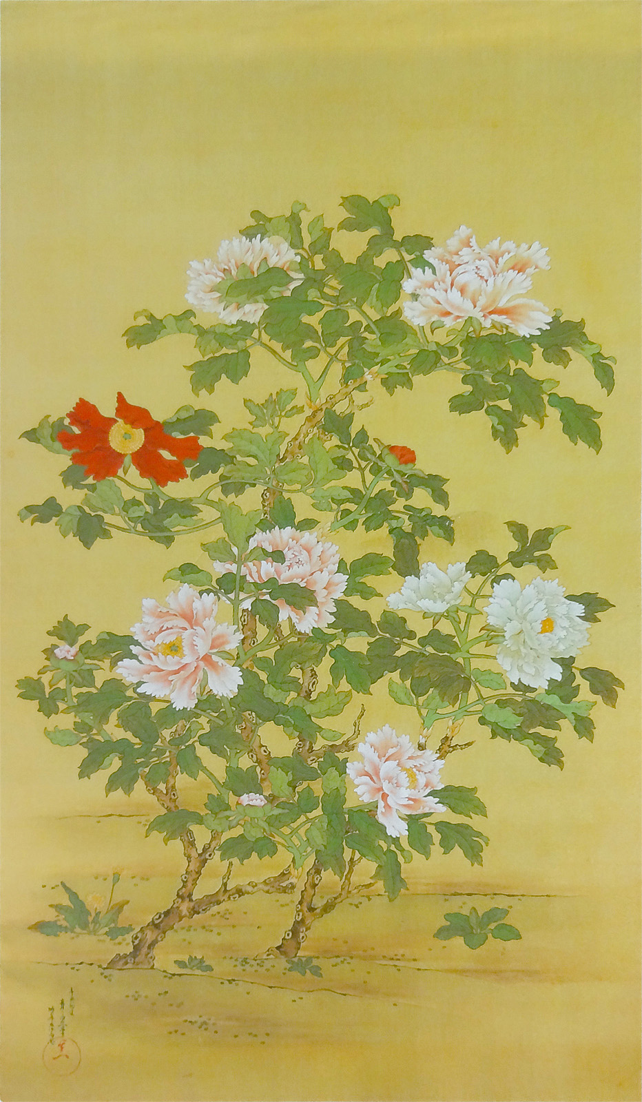 新旧の牡丹｜鈴木其一：牡丹図 vs 渡辺省亭：牡丹と蝶図 : クラシック