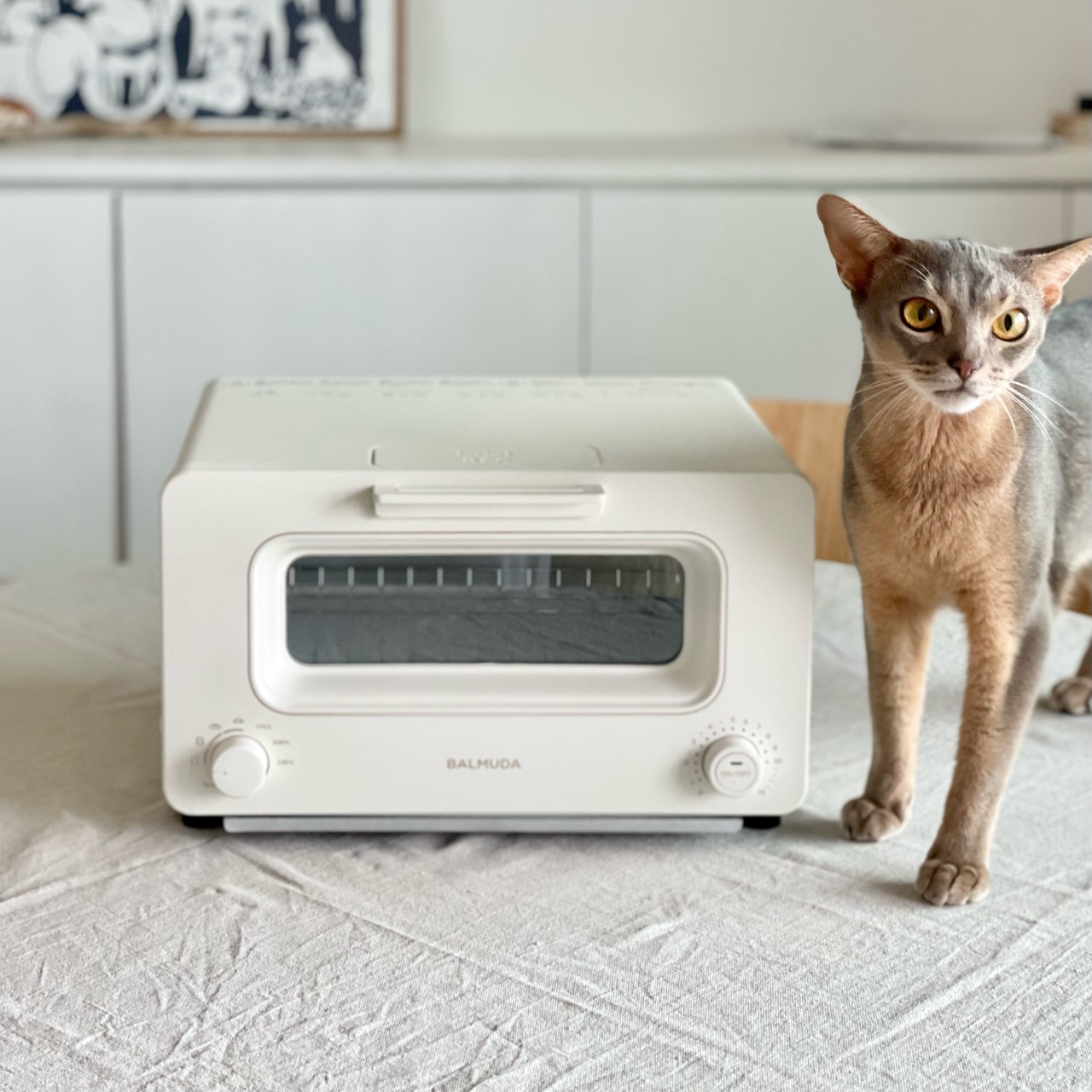 2016年製 バルミューダ スチームトースター K01A-WS Proモデル