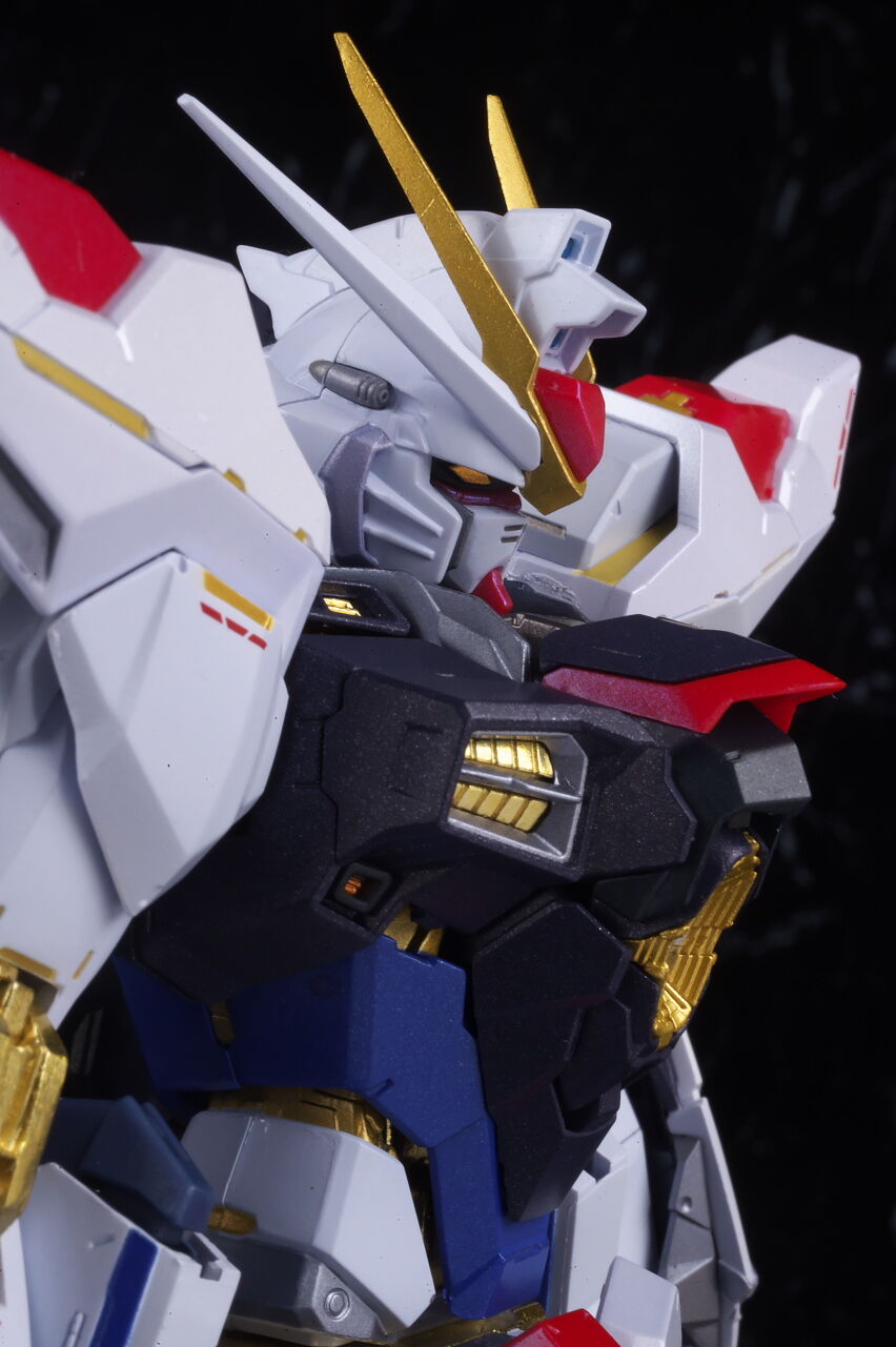 METAL BUILD ストライクフリーダムガンダム [METAL BUILD FESTIVAL