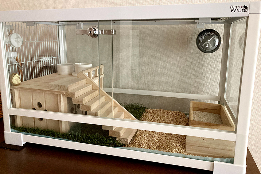 ハリネズミのケージ選び《パンテオン使用比較》 : ハリネズミちくちく日記