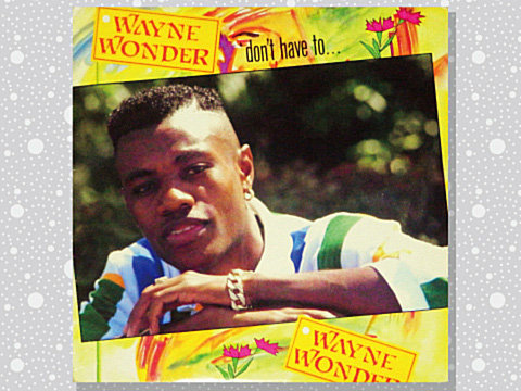 Wayne Wonder「Wayne Wonder」 : つれづれげえ日記