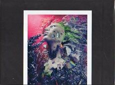 REPSYCLE～hide 60th Anniversary Special Box～ / hide : [world end.]