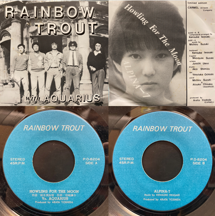 1/18(土)日本の自主制作レコードセール おすすめレコード : ディスク