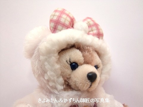 ダッフィーのウィンターホリデー2019 ぬいぐるみバッジとストラップ