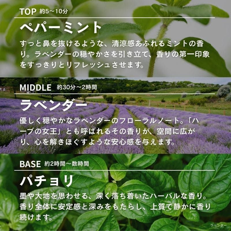 ランプフレグランス ラベンダー 500ml フレグランスランプ用オイル