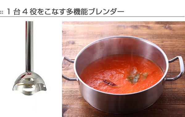 ブレンダ― D&S ハンドブレンダー （ ハンドミキサー ハンディ