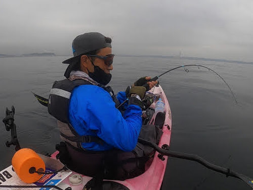 Bifarr BIFS-66L MultiEffector（マルチエフェクター） | bifarr（バイ