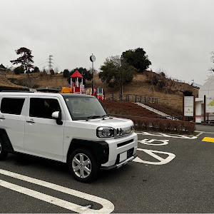 タフトのタフトカスタム・エスペリアスーパーダウンサス・エスペリア