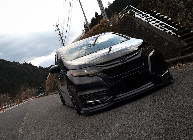 オデッセイの漆黒と雪景色・ワンオフリアキャンバープレート・猿