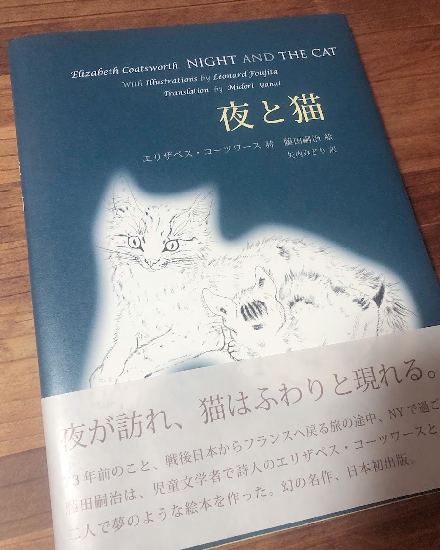 夜と猫｜求龍堂
