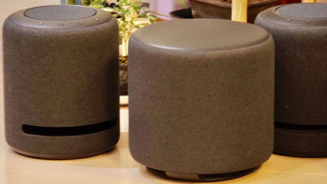 象と散歩: Echo Studioステレオペア + サブウーファー(Echo Sub) の