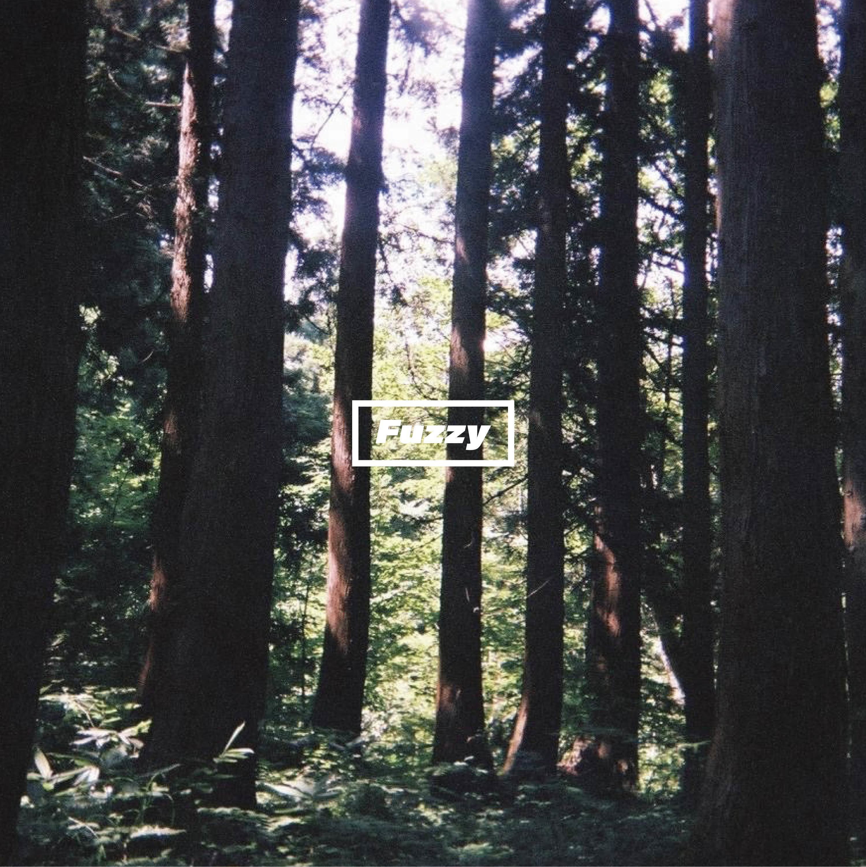 Fuzzy | ミニマムジーク | LONG PARTY RECORDS