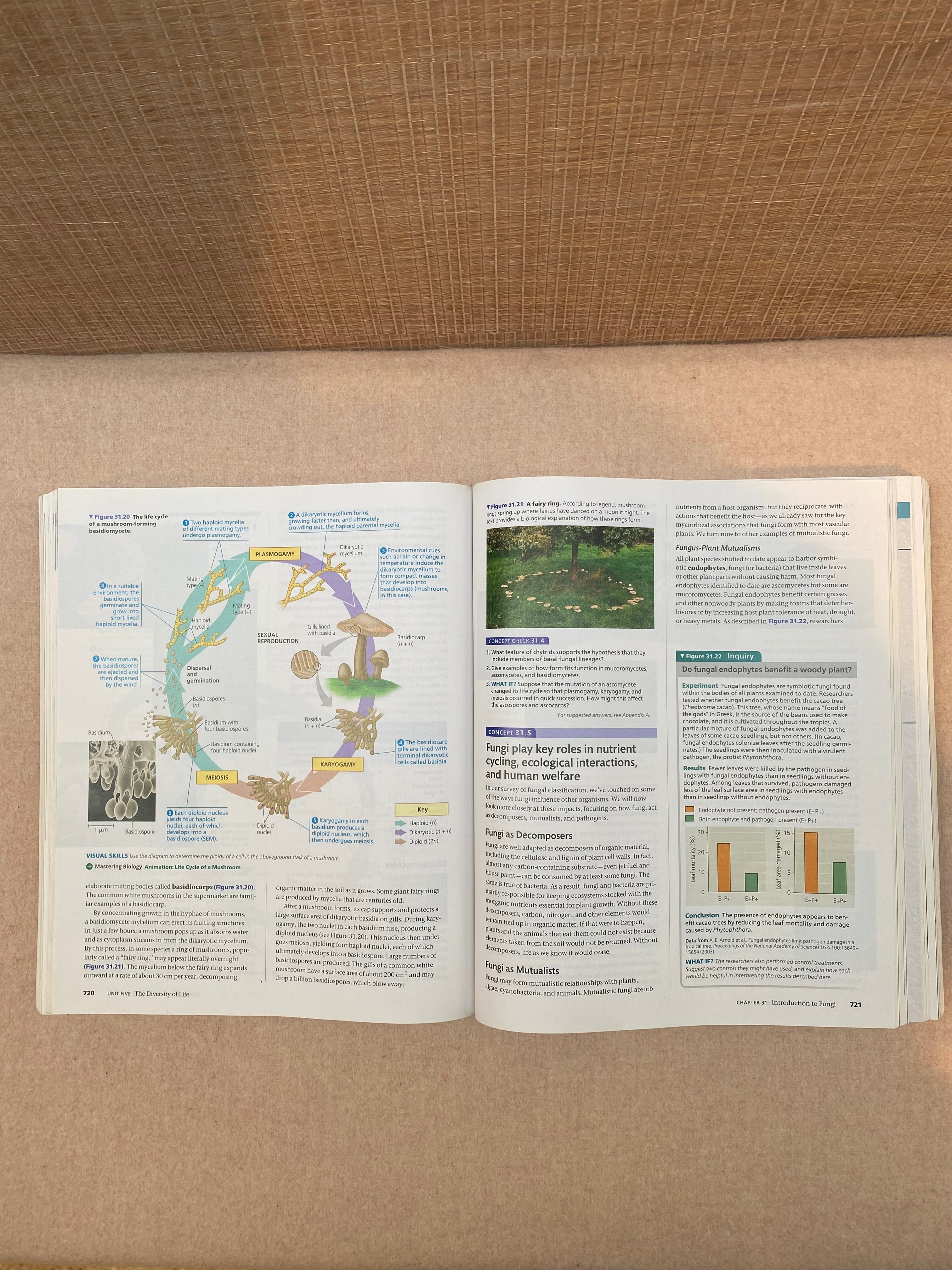 Biology a Global Approach 12th edition – LoopLearn