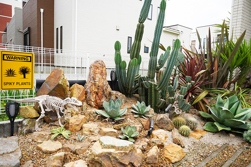 荒々しくも繊細、 個性際立つユニークな ロックガーデン – Ny Paradisa