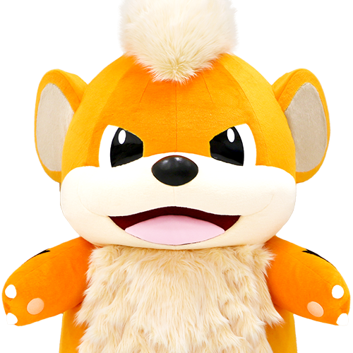 コラボ商品｜ポケモンローカルActs - ポケモンだいすきクラブ