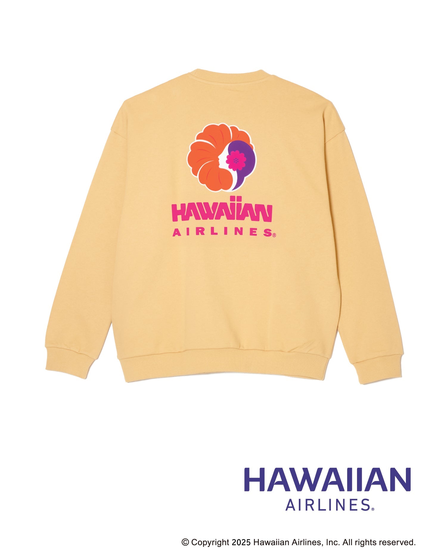 25BR-HATR01_BEG_2_484576df-