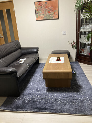 HR4021 商品詳細 ておりプレミアムシリーズ |ラグ 絨毯通販サイト ハグ