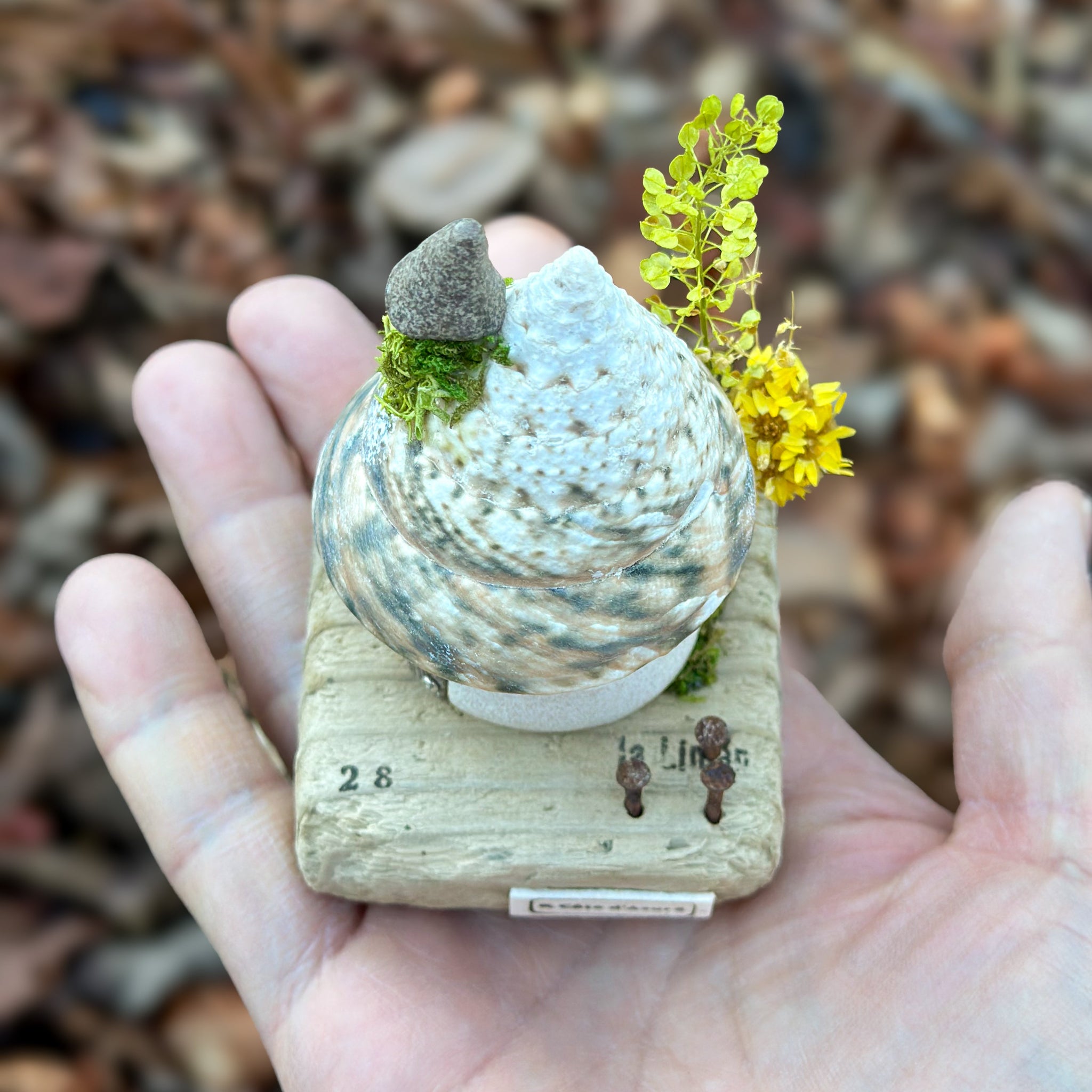 一点もの】貝殻屋根の螺旋の塔 - 流木台座付き / Maison Spirale