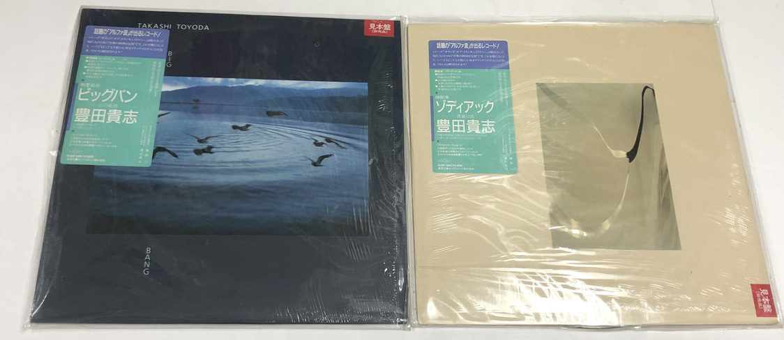 CARIOKA エブリシングプレイ 豊田貴志 日向敏文 フォーヴュー フィー