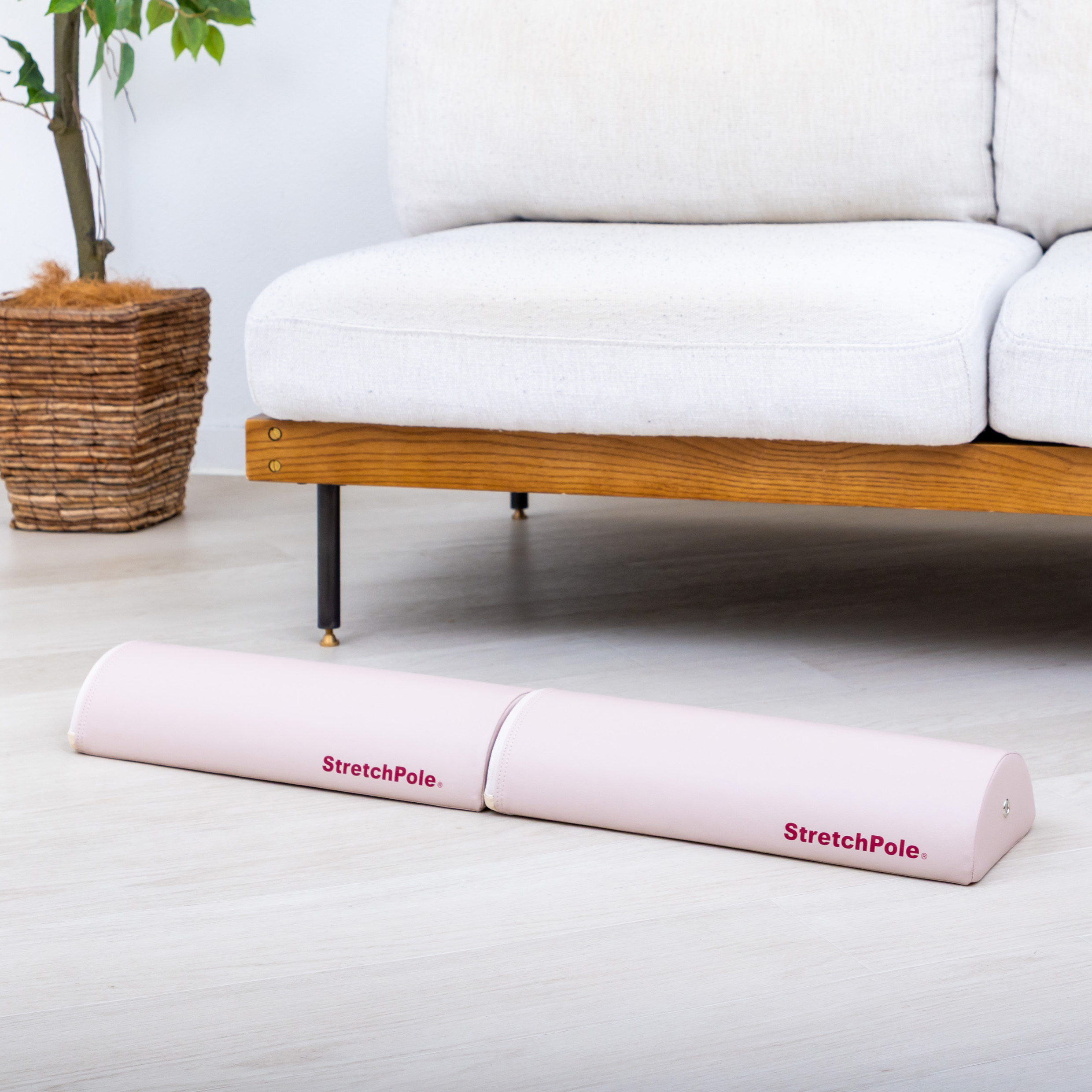 LPN SHOP / ハーフカット