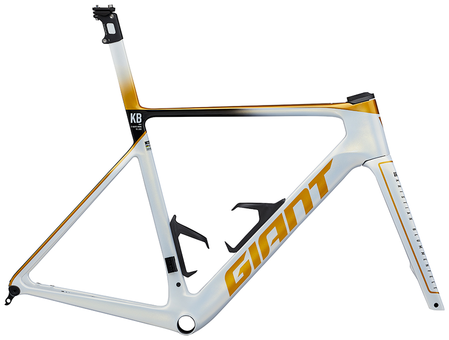 GIANT】《国内限定20台》ブルンメンフェルト シグネチャー「PROPEL