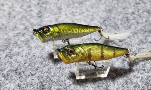 メガバス ポップx⑪ ビャクジャ popx ポップエックス パケ潰れあり