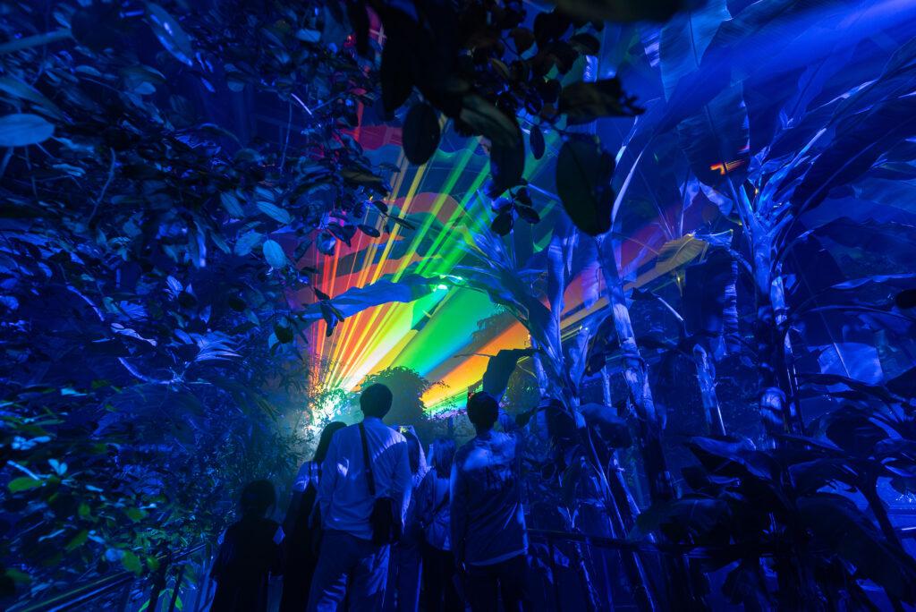 京都府立植物園（LIGHT CYCLES KYOTO） | 「まもっぷ」（きょうと