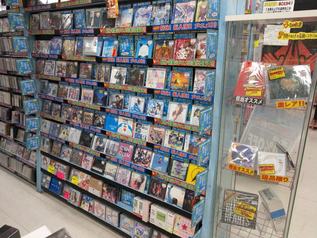 CD/DVD/Blu-ray】8/9(金)～8/12(月)限定！対象商品が全品レジにて20