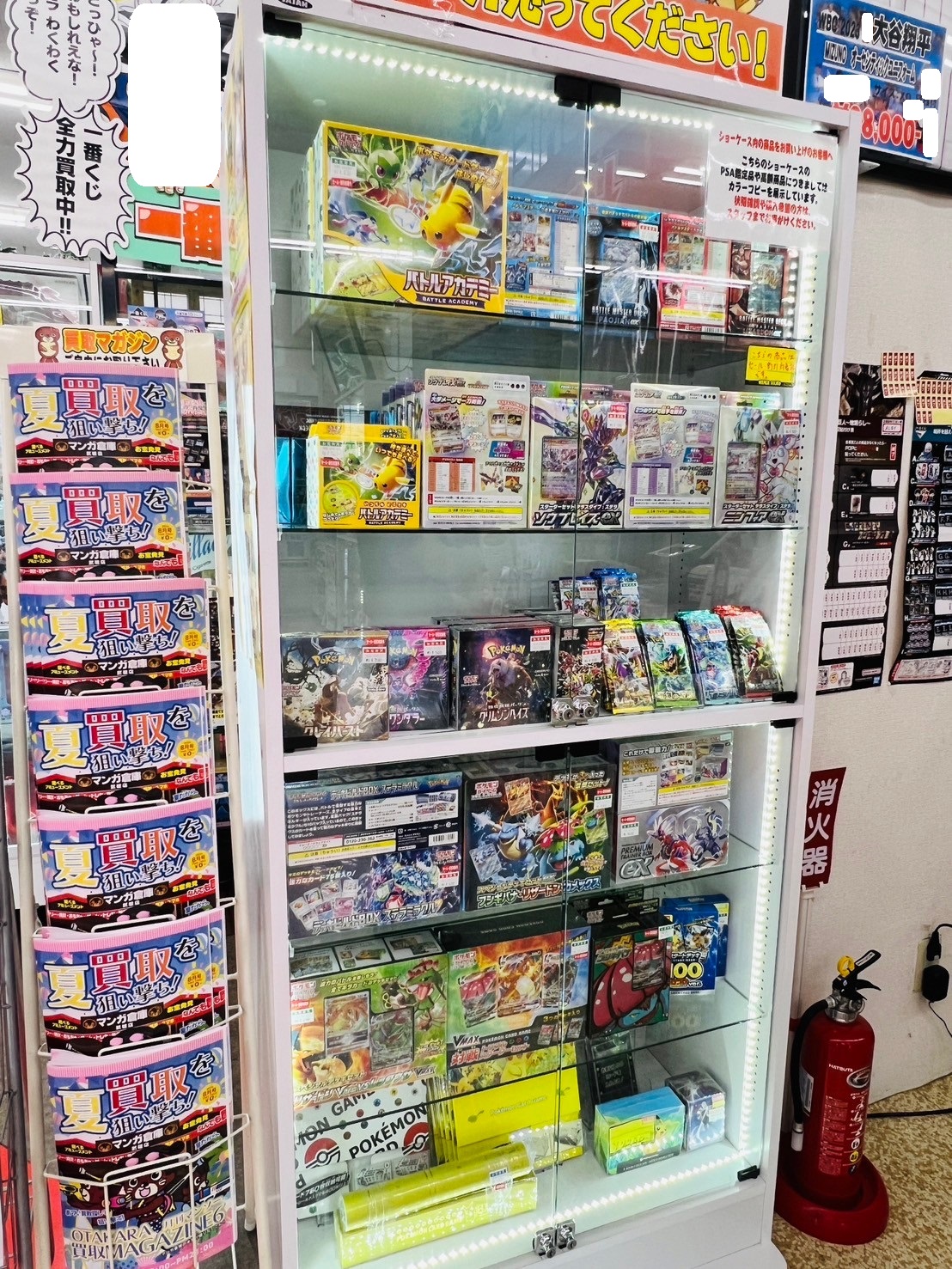 ☆ポケカ新商品「スターターセット テラスタイプ:ステラ」発売！☆#TCG