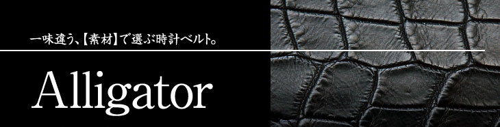 アリゲーター（ワニ） | 時計ベルト専門店 mano a mano