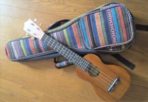 6弦ウクレレはヤマハのギタレレが有名／Aria（アリア）ならG‐Uke