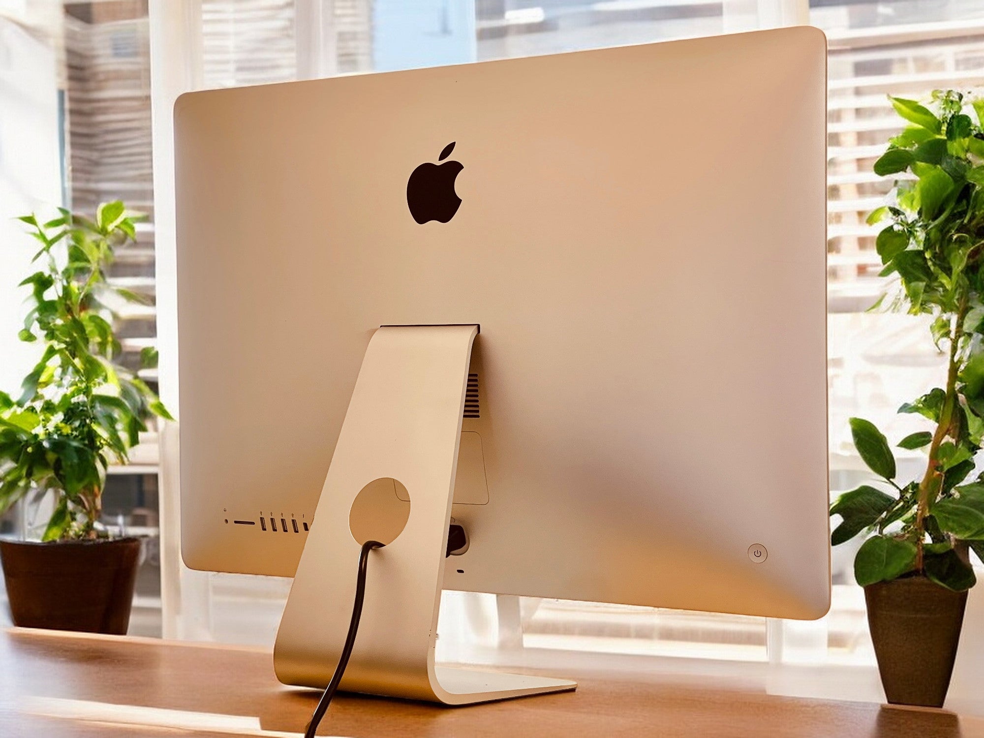 IMG_18742-Photoroom.jpg?v=