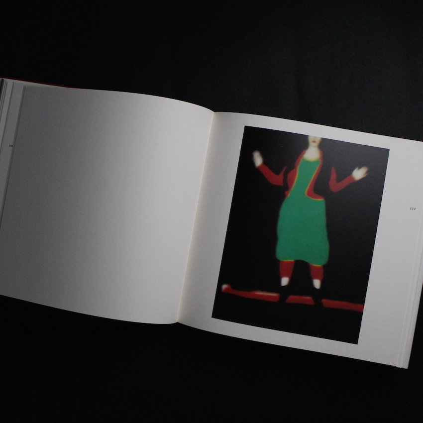 Zufallige Begegnungen - Sarah Moon