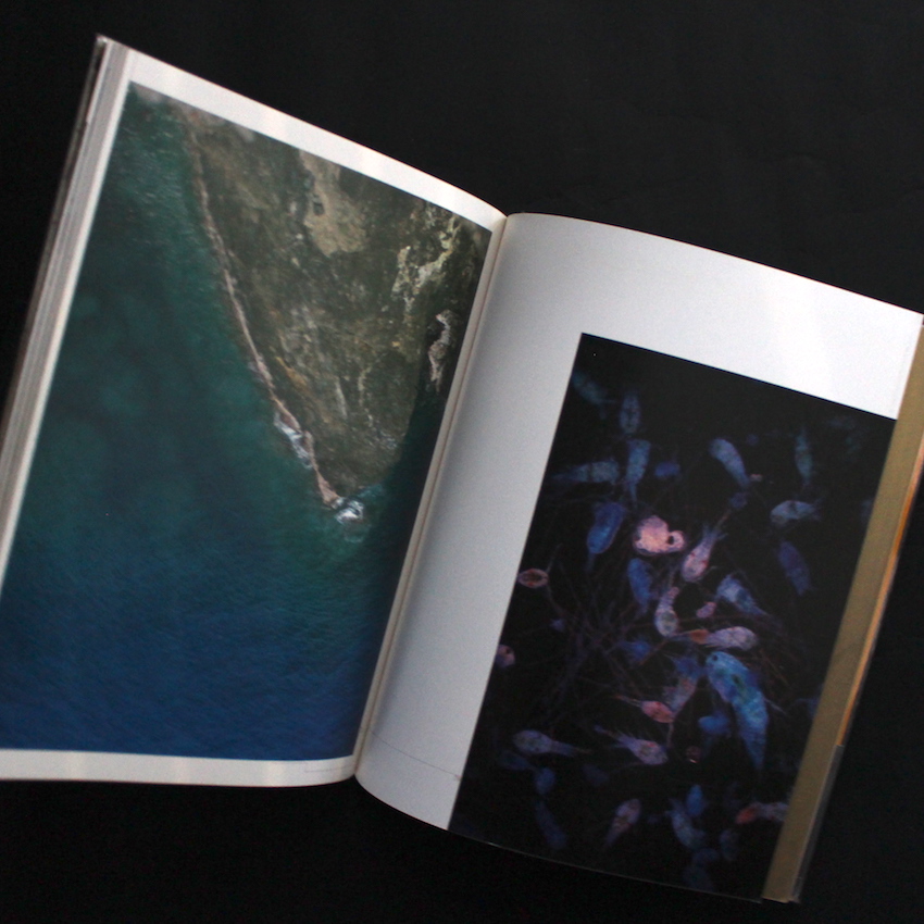 廃園 / Ruinous Gardens - 東松 照明 / Shomei Tomatsu