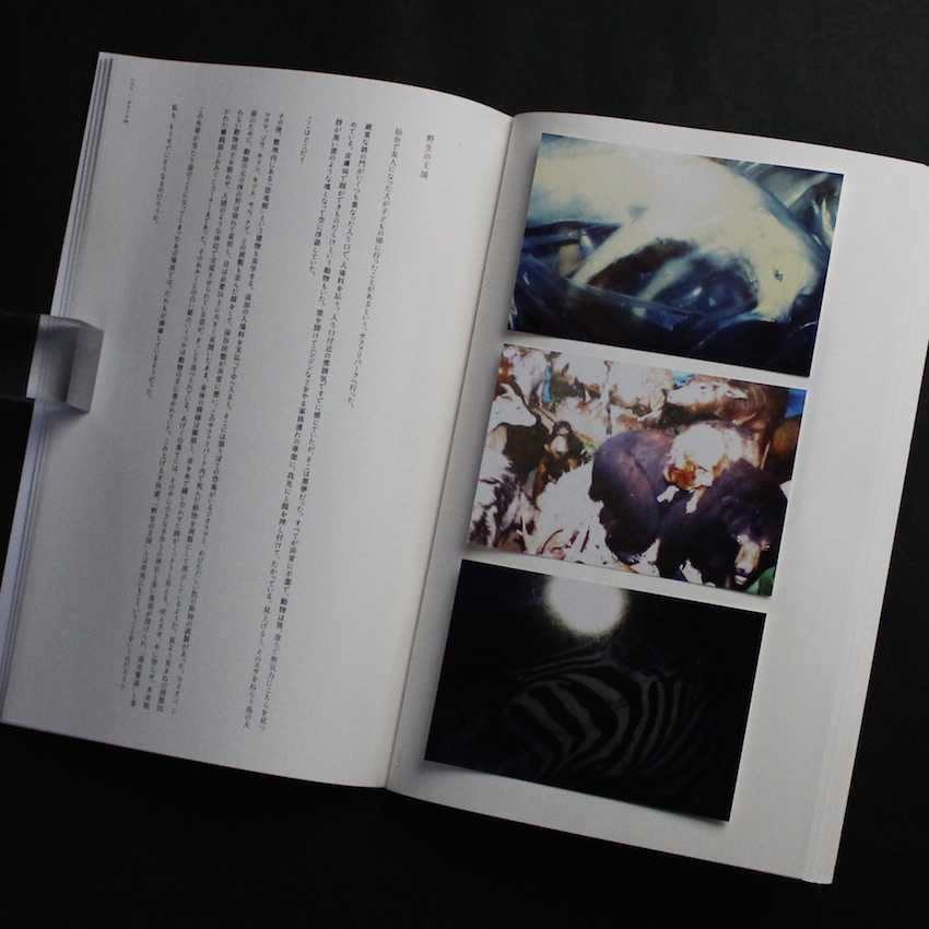 カナリア門 - 志賀 理江子 / Lieko Shiga