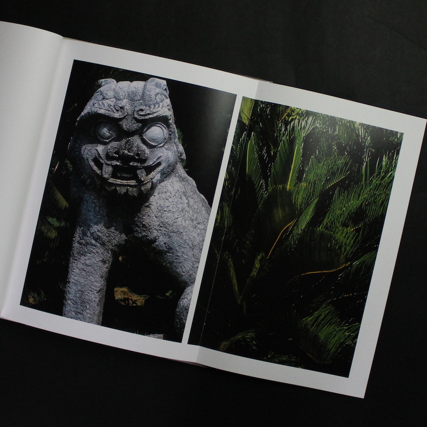 沖縄 / Okinawa - 中平 卓馬 / Takuma Nakahira